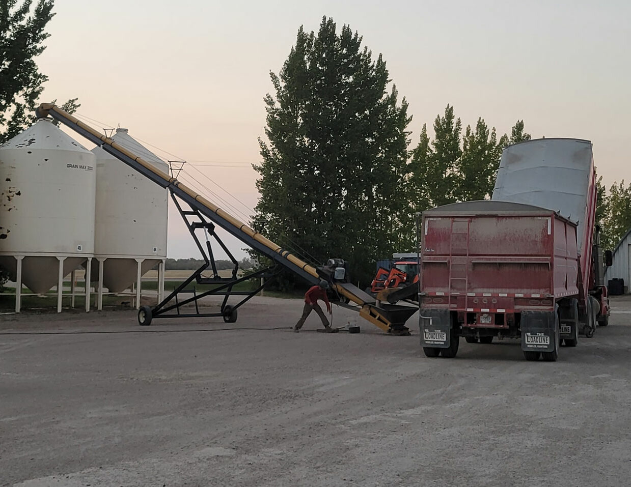 Bean farmers offloading beans at one of our facilities.