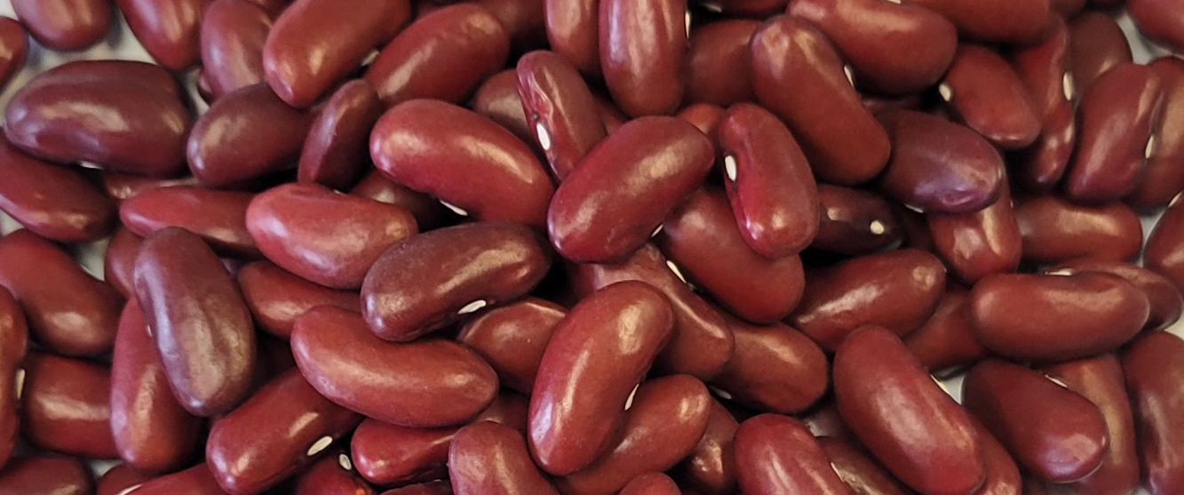 Picture of beautiful dark red kidney beans.